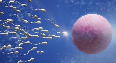 3d sperm ve yumurta hücre bilim içeriği render.