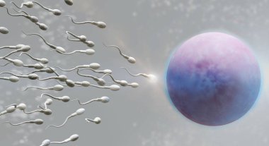 3d sperm ve yumurta hücre bilim içeriği render.