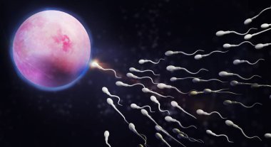 3d sperm ve yumurta hücre bilim içeriği render.