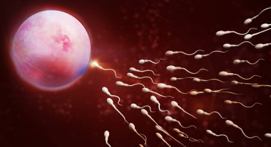 3d sperm ve yumurta hücre bilim içeriği render.