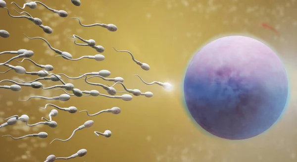 3D レンダリング精子と卵細胞科学コンテンツ. — ストック写真