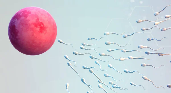 3d sperm ve yumurta hücre bilim içeriği render.