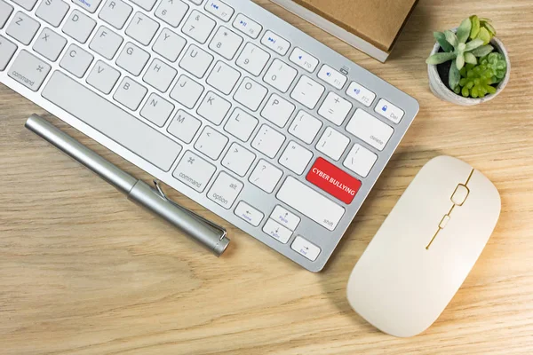 Gümüş klavye de siber zorbalık kırmızı düğme — Stok fotoğraf