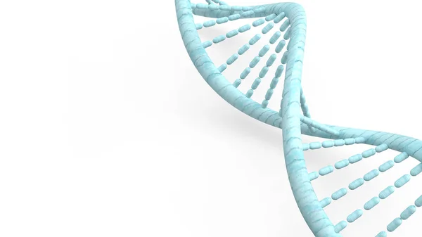 Blaue DNA auf weißem Hintergrund für medizinisches Konzept 3D-Rendering. — Stockfoto