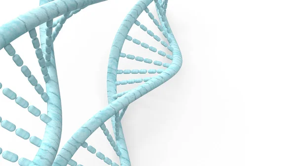 Blaue DNA auf weißem Hintergrund für medizinisches Konzept 3D-Rendering. — Stockfoto