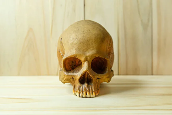 Human Skull Wood Body Human Halloween Content — Stock Photo, Image