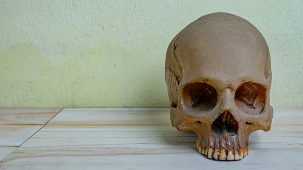 科学的または医学的内容のための木製のテーブルの上の人間の頭蓋骨 — ストック写真
