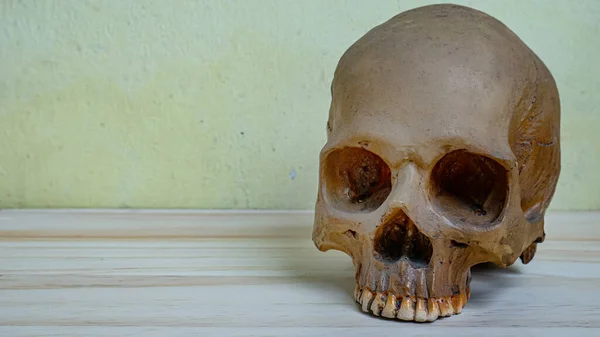 Cráneo Humano Mesa Madera Para Ciencia Contenido Médico —  Fotos de Stock