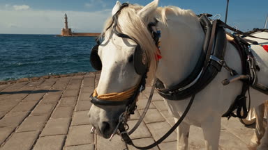 Chania Promenade, Crete, Yunanistan