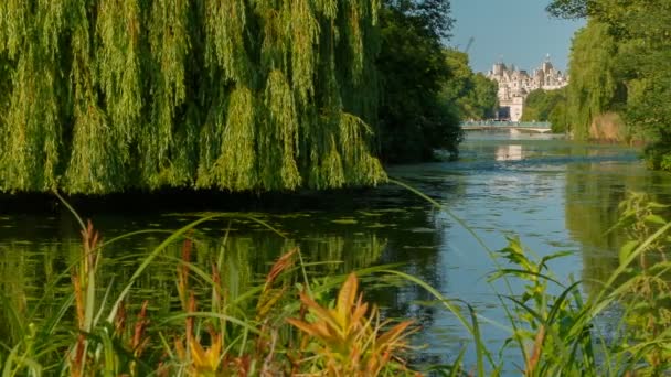 St James Park, Londres, Inglaterra, Reino Unido — Vídeo de stock