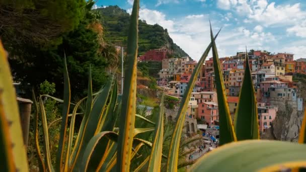 Cinque terre, liguria, Ιταλία — Αρχείο Βίντεο