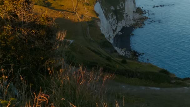 Η λευκή απότομοι βράχοι του Ντόβερ, Αγγλία, Ηνωμένο Βασίλειο — Αρχείο Βίντεο