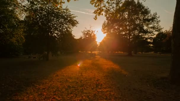 Гайд-парк Лондон, Великобританія — стокове відео