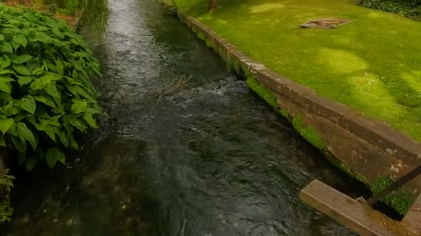 Река Иембл, Винчестер, Англия, Великобритания — стоковое видео