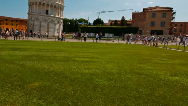 Capitolium varg och lutande tornet i Pisa, Toscana, Italien — Stockvideo