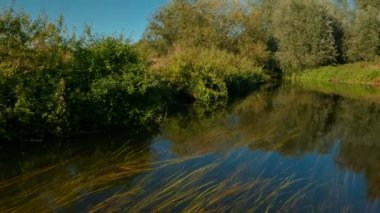 Nehir Stour, Canterbury, İngiltere, İngiltere