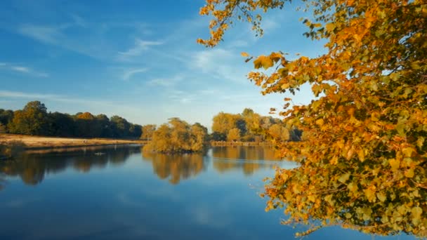 リッチモンド パーク ロンドン イングランド イギリスの湖の特徴紅葉のクリップをパン — ストック動画