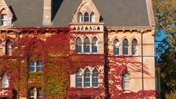 2018 建立美丽的常春藤的快照爬起来在基督教会学院的草甸大厦在英国牛津大学 在英语世界上最古老的大学 — 图库视频影像