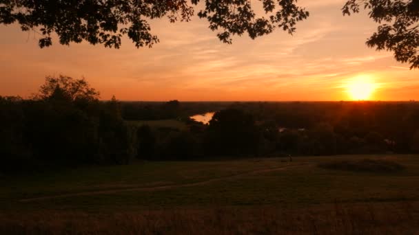 Puesta Sol Richmond Park Londres Inglaterra Reino Unido Sido Lugar — Vídeo de stock