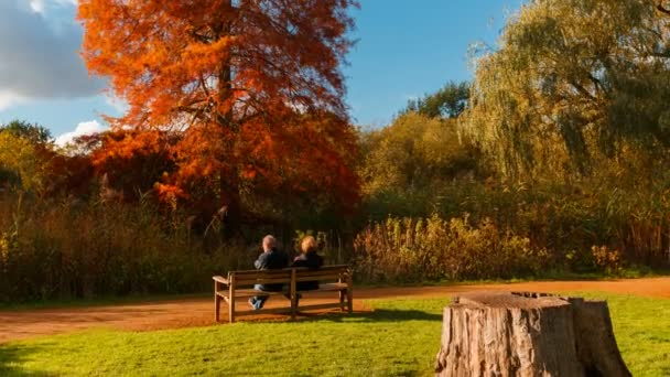 Londres Circa 2018 Amplia Toma Cinematográfica Una Pareja Mayor Disfrutando — Vídeos de Stock