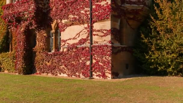 Oxford Circa 2018 Close Shot Beautiful Ivy Creeping Meadow Building — Stock Video