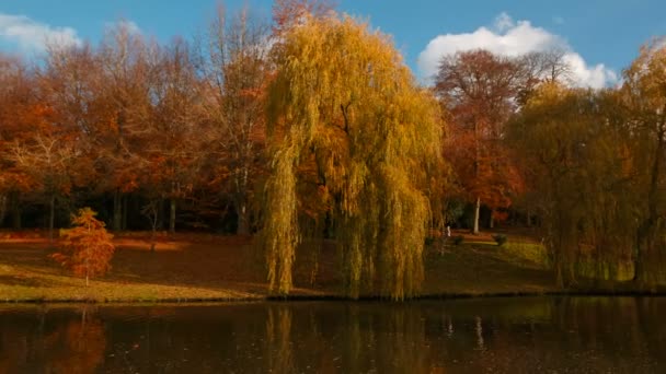 Amplo Tiro Panning Belo Exuberante Jardim Japonês Com Uma Lagoa — Vídeo de Stock