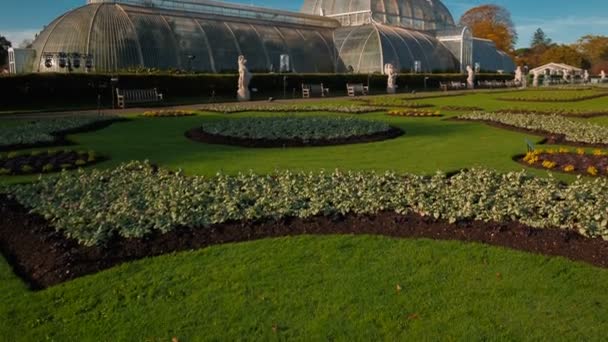 ロンドン 2018 頃ロンドン イングランド イギリスの Kew の庭にあるシュロ栽培の温室の熱帯植物温室の広角ショット — ストック動画