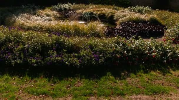 Οξφόρδη Γύρω Στο 2018 Φράζω Στιγμιότυπο Από Τους Όμορφους Κήπους — Αρχείο Βίντεο