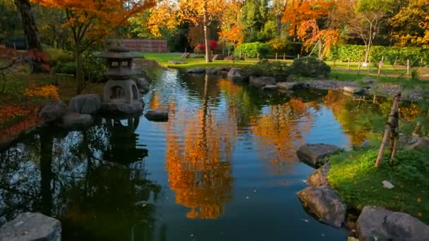 秋の季節の赤とオレンジの色合いを反映している池のある美しい 緑豊かな日本庭園の広いショット — ストック動画
