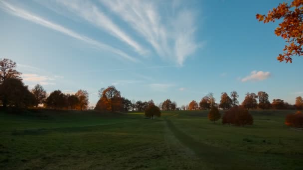 Širokoúhlý Záběr Zelenou Krajinou Pole Během Podzimu Oranžové Listy Stromech — Stock video