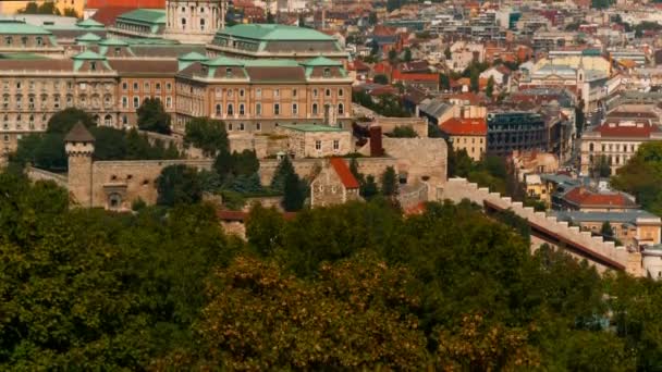 ブダ城 ブダペスト ハンガリーでの望遠ショット 1265 に建てられ それはハンガリーの王の宮殿の複合体として使用されました — ストック動画