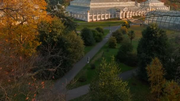 Londra 2018 Yaklaşık Kew Gardens Londra Ngiltere Ngiltere Bulunan Ilıman — Stok video