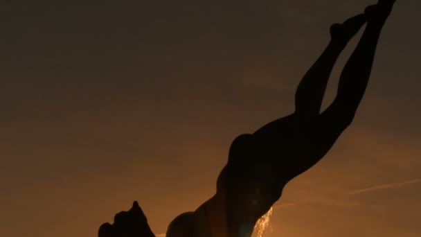 Menina com uma escultura de golfinho, Londres, Inglaterra, Reino Unido — Vídeo de Stock