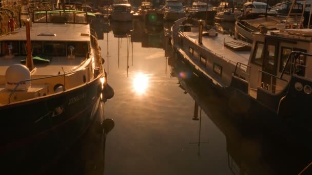 St Katharine Docks, London, England, Storbritannien — Stockvideo