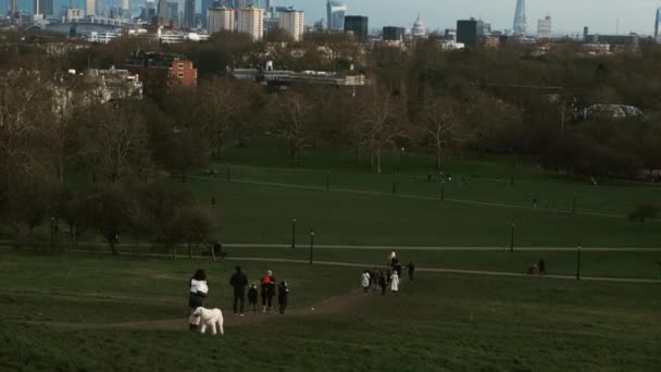 月見草の丘、ロンドン、イングランド、イギリスの都市 — ストック動画