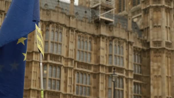 London Circa 2019 Pro Remain Campaigners Demonstrating Flags Front Westminster — Stok Video