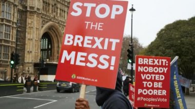Brexit - Pro Eu Destekçileri Westminster, Londra