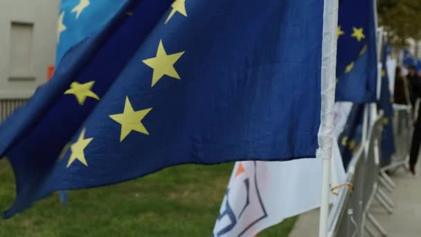 БРЕКСИТ - Флаги ЕС и выхода из ЕС в Вестминстере, Лондон — стоковое видео
