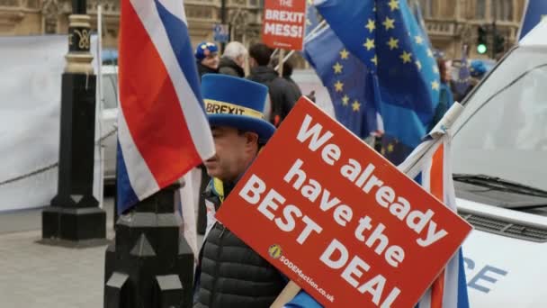 Brexit-Pro EU-anhängare i Westminster, London — Stockvideo