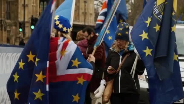 London Circa 2019 Establishing Shot Pro Remainers Demonstrating Flags Posters — Wideo stockowe