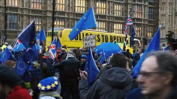 London Circa 2019 Wide Shot Pro Remainers Demonstrating Flags Posters — Stock Video