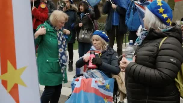Лондон Около 2019 Года Крупным Планом Демонстрация Сторонников Флагами Плакатами — стоковое видео
