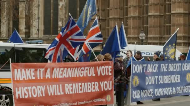 Londra Circa 2019 Movimento Lento Colpo Marcaatura Pro Dimostrando Westminster — Video Stock