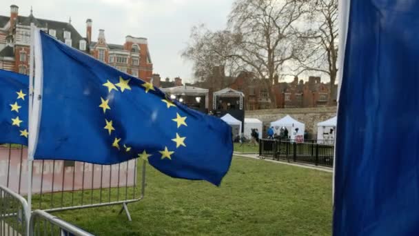 Brexit - Pro ЄС прихильників в районі Вестмінстер, Лондон — стокове відео