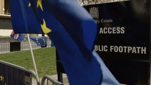 BREXIT - Apoiantes pró-UE em Westminster, Londres — Vídeo de Stock