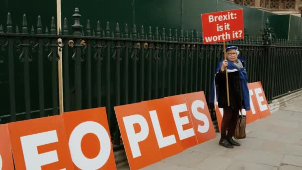 Brexit - Pro-AB destekçileri Westminster, Londra — Stok video