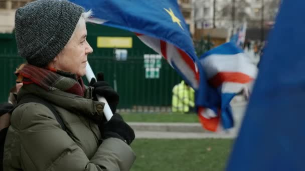 Brexit - Pro-Eu anhängare i Westminster, London — Stockvideo