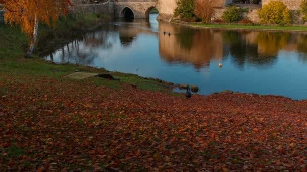 Kent Circa 2018 Inclinazione Del Castello Medievale Leeds Nel Kent — Video Stock