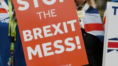 Brexit - Pro-AB destekçileri Westminster, Londra