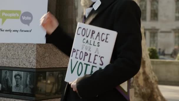 Londra Circa 2019 Peoples Vote Pro Rimanere Manifestare Fuori Dal — Video Stock